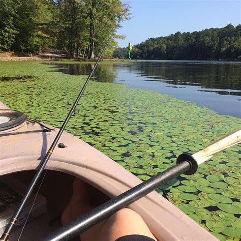 Things to do in selma. Paul M. Grist State Park | Selma | Dallas | Alabama State ...