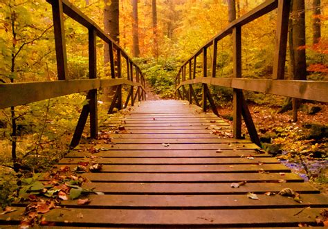 Fall Backgrounds Bridge