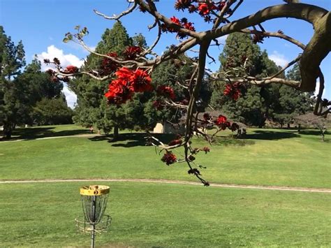 We hope you will discover a greater sense of confidence and heightened self esteem. La Mirada Regional Park Back - La Mirada, CA | UDisc Disc ...