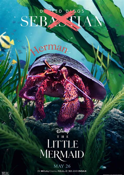 Top Sea Creatures In Disneys Underwater World The Little Mermaid