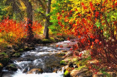 Desktop Wallpapers Autumn Nature Streams Forest