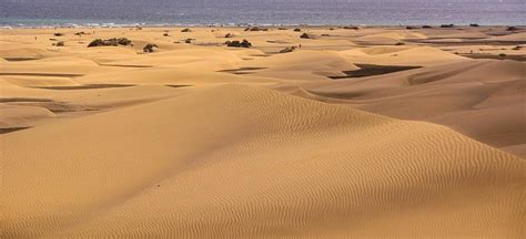 Dunas De Maspalomas Hola Islas Canarias