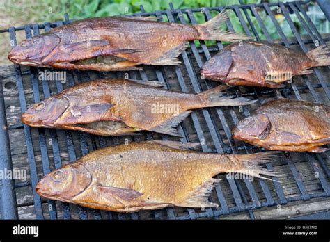 Homemade Smoked Fish Stock Photo Alamy