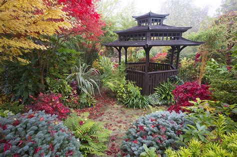 Images England Walsall Garden Nature Autumn Pagodas Gardens Bush Shrubs