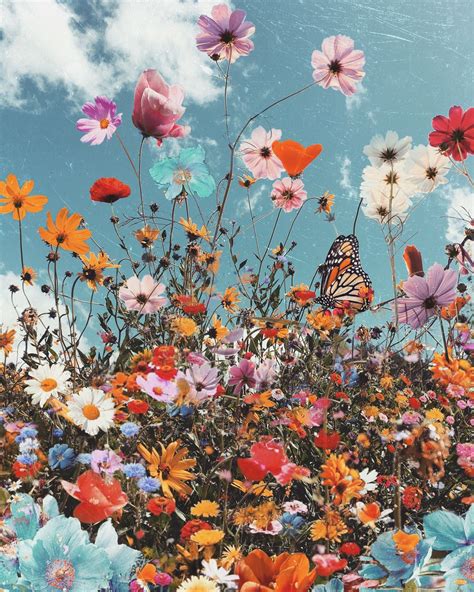Fly 2018 — Siobhán Odwyer Art Flower Phone Wallpaper Sunflower