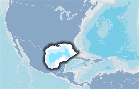 Gulf Of Mexico Region National Marine Ecosystem Status