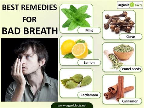 badbreathinfo bad breath remedy home remedies for bad breath bad breath