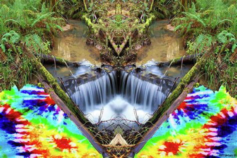 Psychedelic Nature Mirror 1 Photograph By Ben Upham Iii Fine Art America