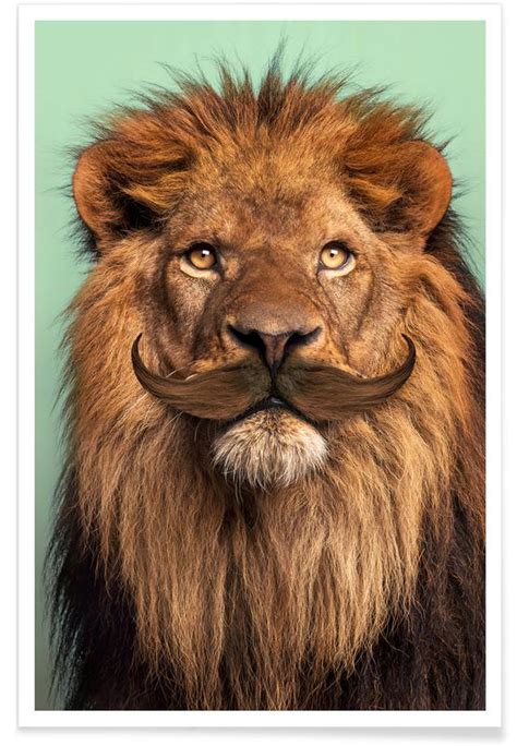Bearded Lion Poster Juniqe