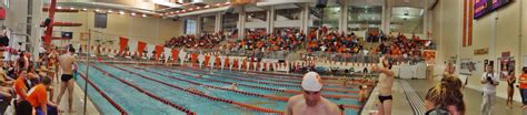 Clemson Swimming And Diving Current Alumni Parents And Friends Home