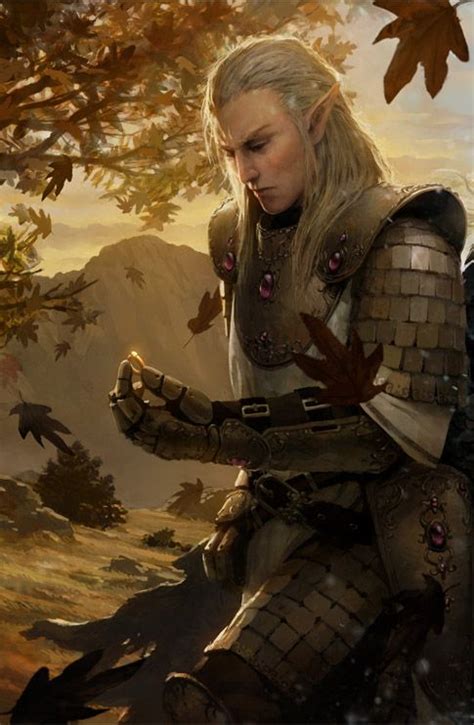 Elves Fantasy Heroic Fantasy Fantasy Male Fantasy Warrior Fantasy