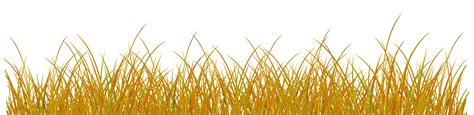 Autumn Grass PNG Clip Art Image Gallery Yopriceville High Quality Images And Transparent P