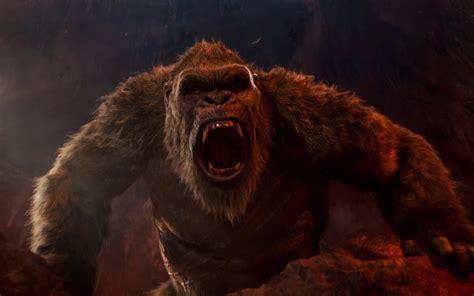 Primer Avance De Godzilla X Kong The New Empire La Secuela De
