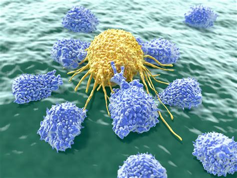 Improved Method Of Engineering T Cells To Attack Cancer News