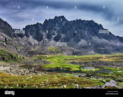Boggy Tundra In The Siberian Mountains East Sayan Stock Photo Alamy
