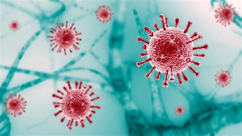 Covid 19 Coronavirus Disease 2019 Medlineplus