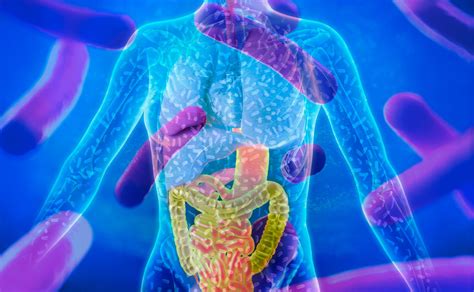 What Is The Human Microbiome And Why Is It So Important To Your Health