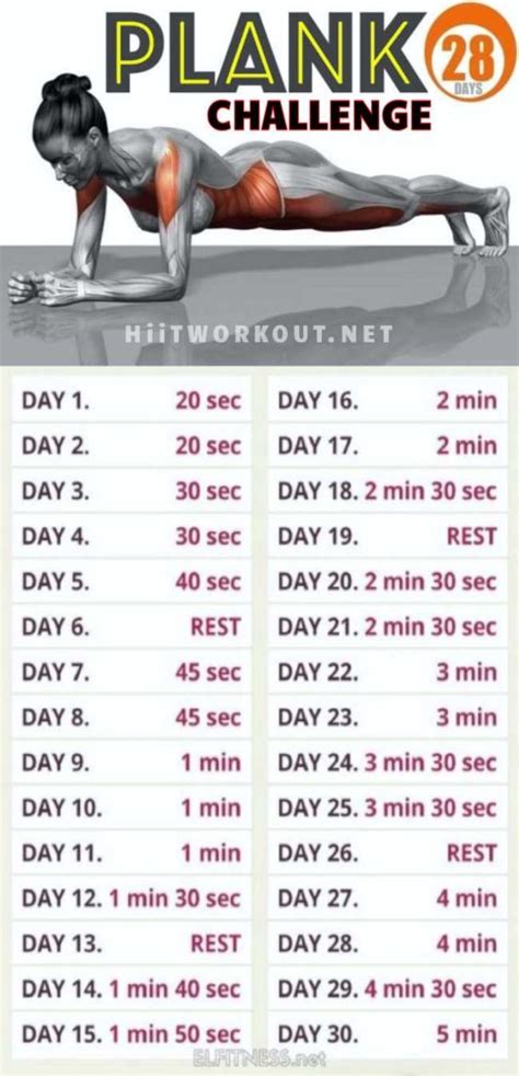 30 Day Plank Challenge For Beginners | Medium