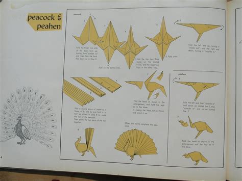 Origami Peacock Step By Step - Jadwal Bus