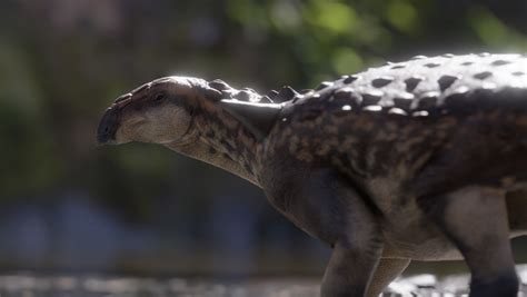Descubren Un Nuevo Dinosaurio Acorazado Que Habitó En La Patagonia Hace