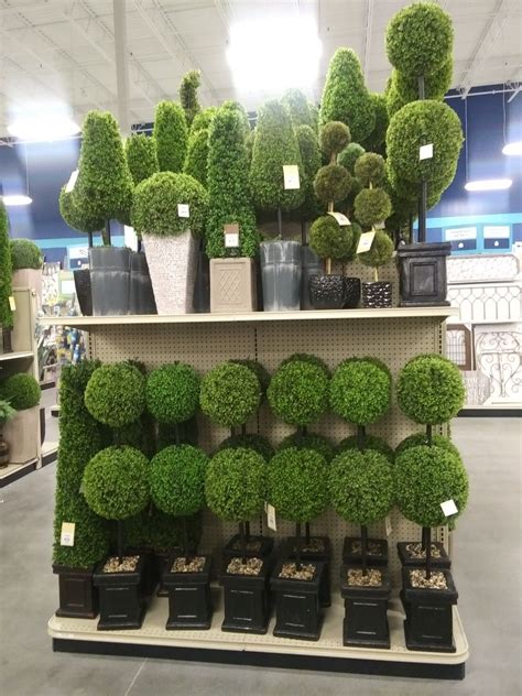Indoor Topiary, Topiary Diy, Topiaries, Pot Plants, Faux Plants, Fake