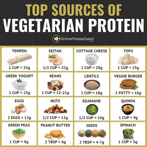 Top Sources Of Vegetarian Protein Online Fitness Coach