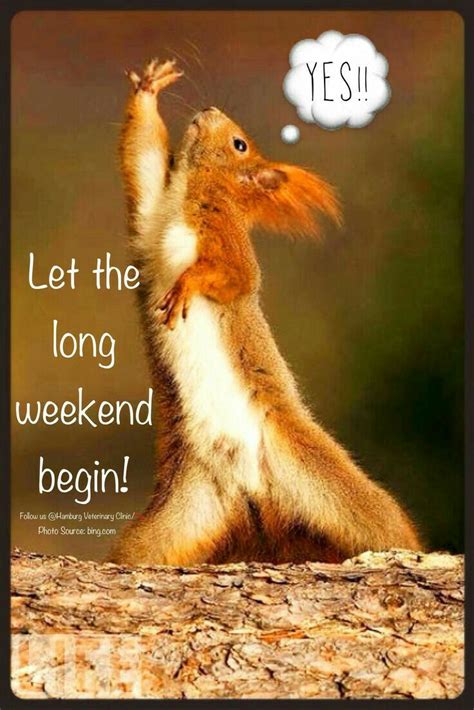 When is the next long weekend? Pin by Tristan-Jay Hill on Daily Quotes | Weekend humor ...