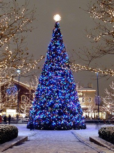 Bonito Blue Christmas Tree Beautiful Christmas Trees Christmas