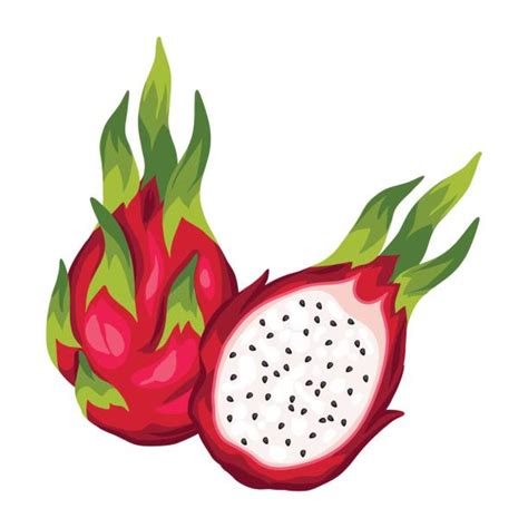 Dragon Fruit Pictures Clip Art 20 Free Cliparts Download Images On