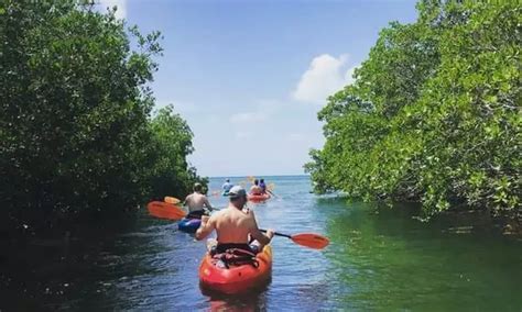 7 Adventurous Key West Excursions To Step Up Your Itinerary