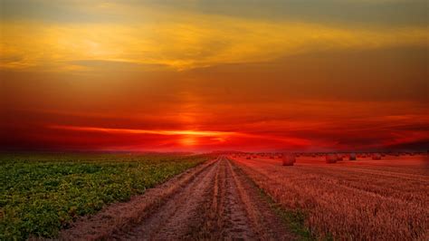 1920x1080 Colorful Sunset At Lonely Field 1080p Laptop Full Hd