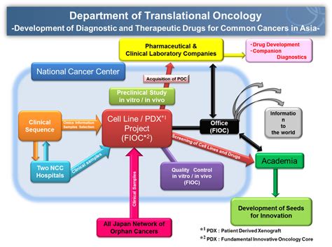 Our head of department is professor richard gilbertson. Department of Translational Oncology | National Cancer ...