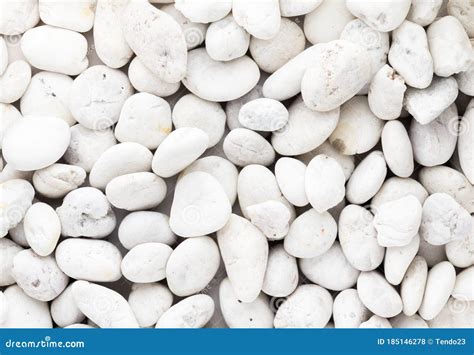 White Pebbles Stone Texture And Background Stock Photo Image Of Clean
