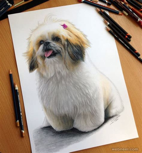 Dog Color Pencil Drawing By Dinotomic 3