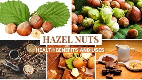 Hazelnuts 11 Ways Benefits Your Health Helthy Leaf