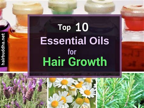 10 Best Essential Oils For Hair Growth And Scalp Health Hair Buddha