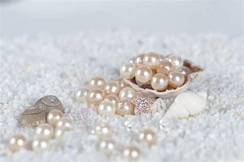 Pearls In The Sea Shell Stock Photo Image Of Tenderness 43425544