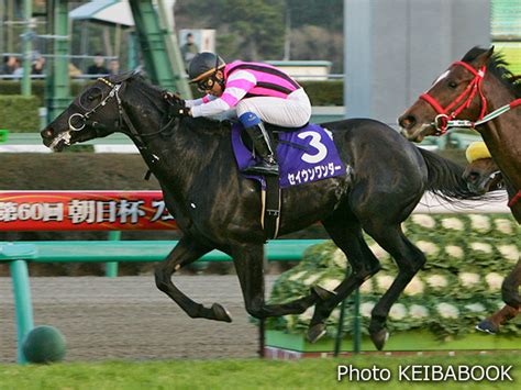 Stallions In Japan2023 Jrha（一般社団法人 日本競走馬協会）