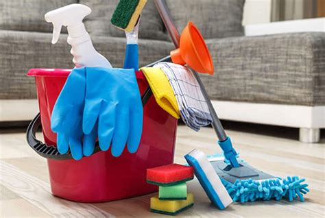 Empleadosas Para Limpieza De Casas Disponibilidad Inmediata