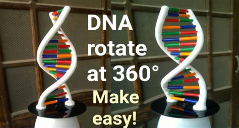 How To Make This Dna Model Rotate At 360 Degree Dna Model Diy Make