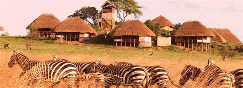 Best Uganda Safari For A Quality Wildlife Expedition