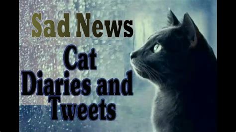 Cat Diary And Tweets Sad News Youtube