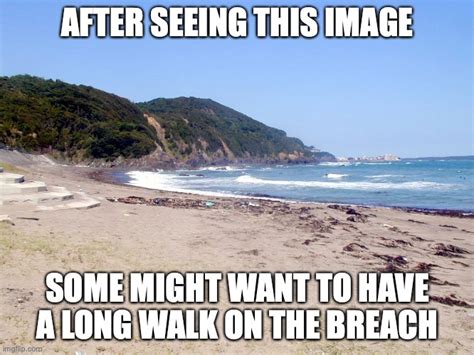 Sexy Beach Imgflip