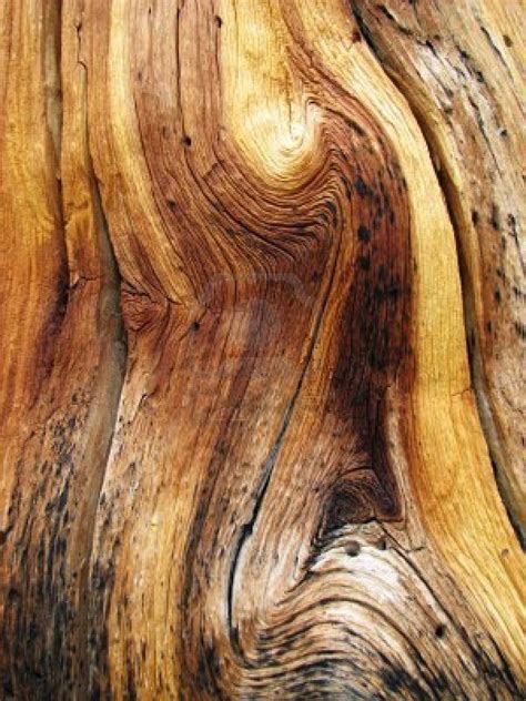 This Is An Example Of Edge Wood Grain There Is A Really Nice Swirling