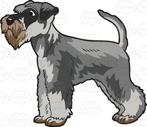 Schnauzer Images Clipart Free Cliparts Download Images On Clipground