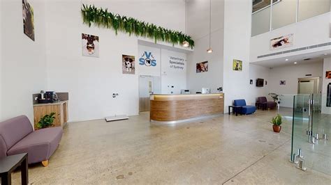 5 Vet Clinic Design Trends That Are On The Rise Elite Fitout