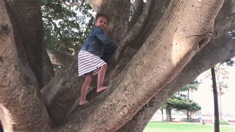 Kids Climbing Trees Kids Videos Youtube