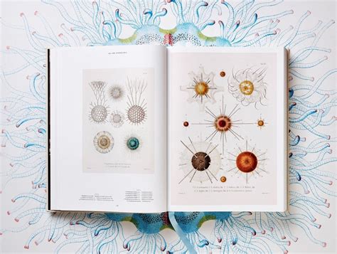 The Art And Science Of Ernst Haeckel A Compendium Of Colorfully