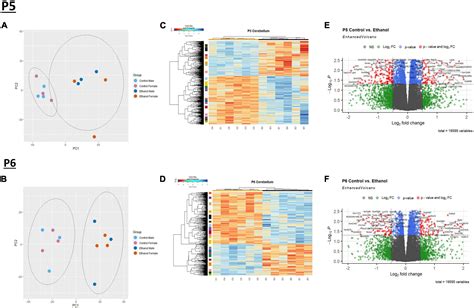 Frontiers Ethanol Induced Cerebellar Transcriptomic Changes In A