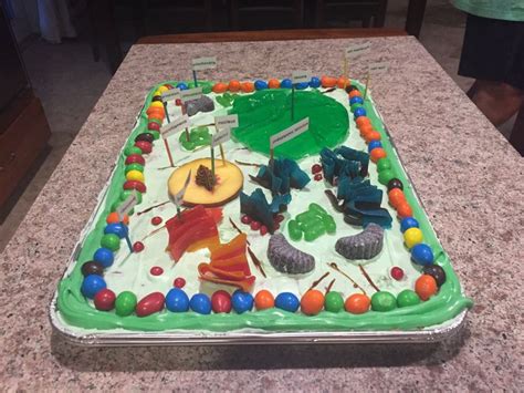 Plant Cell Cookie Cake Photosynthesis Projects Plant Cell Project